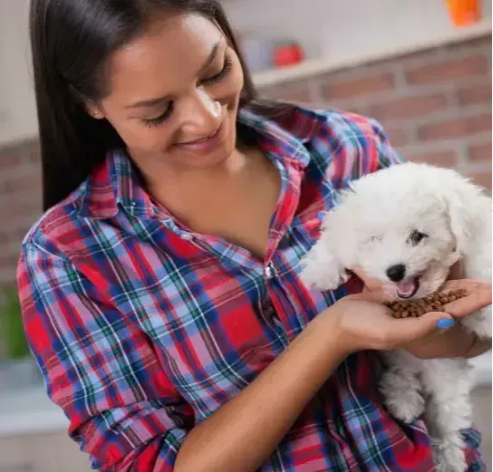 CBD Care - Pet Care customer - Emily R. ~New York, USA